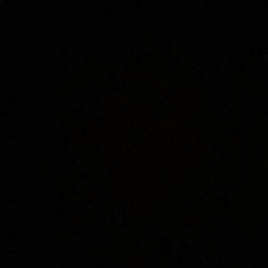 Meet your Posher, Abbie